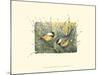 Chickadees and Pussy Willow-Janet Mandel-Mounted Art Print