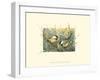 Chickadees and Pussy Willow-Janet Mandel-Framed Art Print