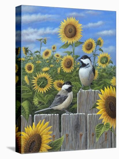Chickadees and Sunflowers-Robert Wavra-Stretched Canvas