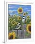 Chickadees and Sunflowers-Robert Wavra-Framed Giclee Print