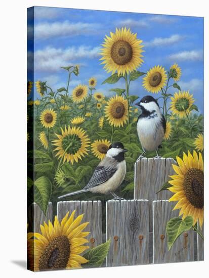 Chickadees and Sunflowers-Robert Wavra-Stretched Canvas