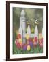 Chickadees and Tulips-William Vanderdasson-Framed Premium Giclee Print