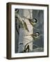 Chickadees at Dawn-Bruce Miller-Framed Giclee Print