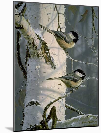 Chickadees at Dawn-Bruce Miller-Mounted Giclee Print