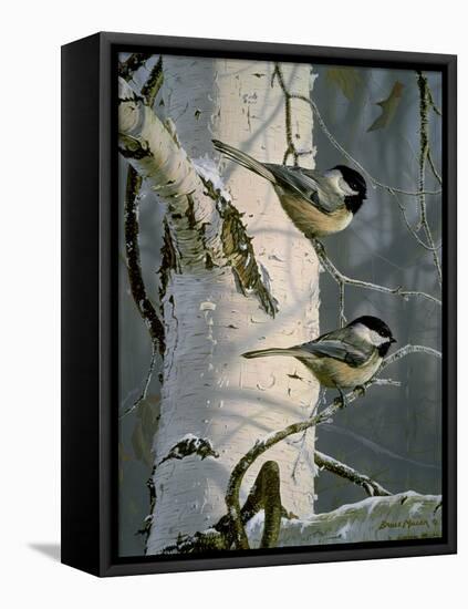 Chickadees at Dawn-Bruce Miller-Framed Stretched Canvas