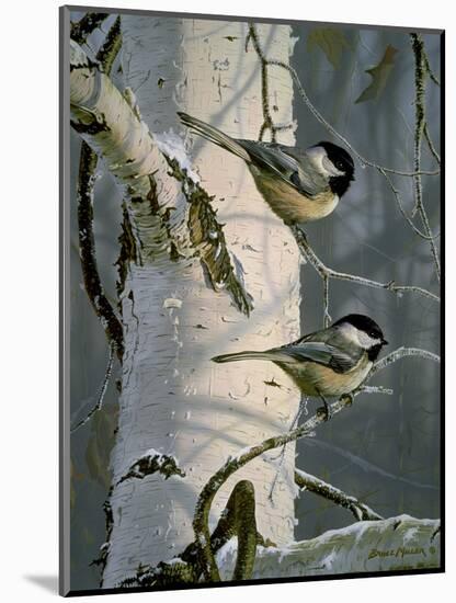 Chickadees at Dawn-Bruce Miller-Mounted Giclee Print