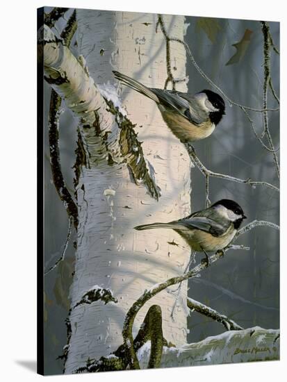 Chickadees at Dawn-Bruce Miller-Stretched Canvas