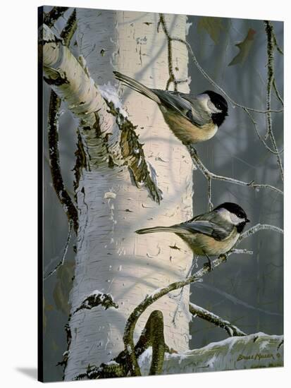 Chickadees at Dawn-Bruce Miller-Stretched Canvas