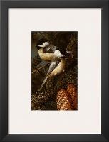 Chickadees-Carl Brenders-Framed Art Print