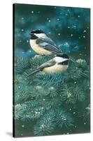 Chickadees-William Vanderdasson-Stretched Canvas