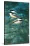 Chickadees-William Vanderdasson-Stretched Canvas