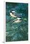 Chickadees-William Vanderdasson-Framed Giclee Print