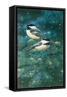 Chickadees-William Vanderdasson-Framed Stretched Canvas