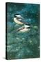 Chickadees-William Vanderdasson-Stretched Canvas