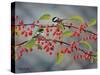 Chickadees-Don Engler-Stretched Canvas