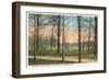 Chickamauga Battlefield, Chattanooga, Tennessee-null-Framed Art Print