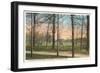 Chickamauga Battlefield, Chattanooga, Tennessee-null-Framed Art Print