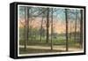 Chickamauga Battlefield, Chattanooga, Tennessee-null-Framed Stretched Canvas