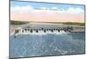 Chickamauga Dam, Chattanooga, Tennessee-null-Mounted Art Print