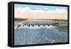 Chickamauga Dam, Chattanooga, Tennessee-null-Framed Stretched Canvas