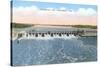 Chickamauga Dam, Chattanooga, Tennessee-null-Stretched Canvas