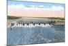 Chickamauga Dam, Chattanooga, Tennessee-null-Mounted Art Print