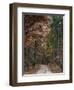 Chickasaw Forest in Autumn 1-Jai Johnson-Framed Premium Giclee Print