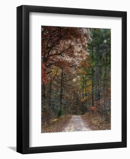 Chickasaw Forest in Autumn 1-Jai Johnson-Framed Premium Giclee Print