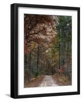 Chickasaw Forest in Autumn 1-Jai Johnson-Framed Giclee Print