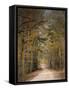 Chickasaw Forest in Autumn 2-Jai Johnson-Framed Stretched Canvas