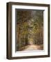 Chickasaw Forest in Autumn 2-Jai Johnson-Framed Giclee Print