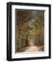 Chickasaw Forest in Autumn 2-Jai Johnson-Framed Giclee Print