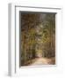 Chickasaw Forest in Autumn 2-Jai Johnson-Framed Giclee Print