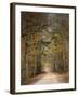 Chickasaw Forest in Autumn 2-Jai Johnson-Framed Giclee Print