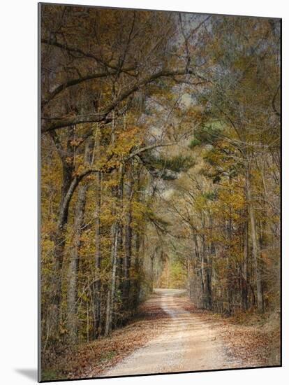 Chickasaw Forest in Autumn 2-Jai Johnson-Mounted Giclee Print