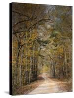 Chickasaw Forest in Autumn 2-Jai Johnson-Stretched Canvas