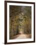 Chickasaw Forest in Autumn 2-Jai Johnson-Framed Giclee Print