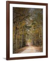 Chickasaw Forest in Autumn 2-Jai Johnson-Framed Giclee Print