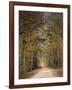 Chickasaw Forest in Autumn 2-Jai Johnson-Framed Giclee Print