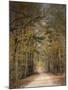 Chickasaw Forest in Autumn 2-Jai Johnson-Mounted Giclee Print