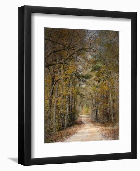 Chickasaw Forest in Autumn 2-Jai Johnson-Framed Premium Giclee Print