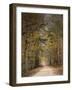 Chickasaw Forest in Autumn 2-Jai Johnson-Framed Giclee Print