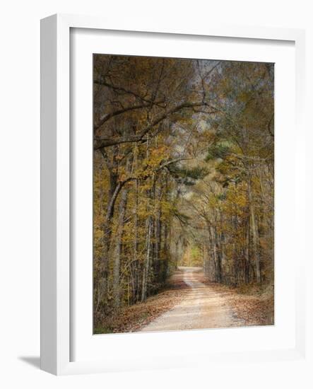 Chickasaw Forest in Autumn 2-Jai Johnson-Framed Giclee Print