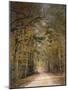 Chickasaw Forest in Autumn 2-Jai Johnson-Mounted Giclee Print