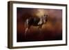 Chickasaw Pony in Autumn-Jai Johnson-Framed Giclee Print