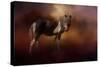 Chickasaw Pony in Autumn-Jai Johnson-Stretched Canvas