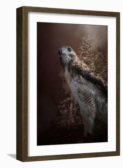 Chickasaw Redtail-Jai Johnson-Framed Giclee Print