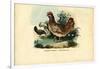 Chicken, 1863-79-Raimundo Petraroja-Framed Giclee Print