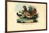 Chicken, 1863-79-Raimundo Petraroja-Framed Giclee Print