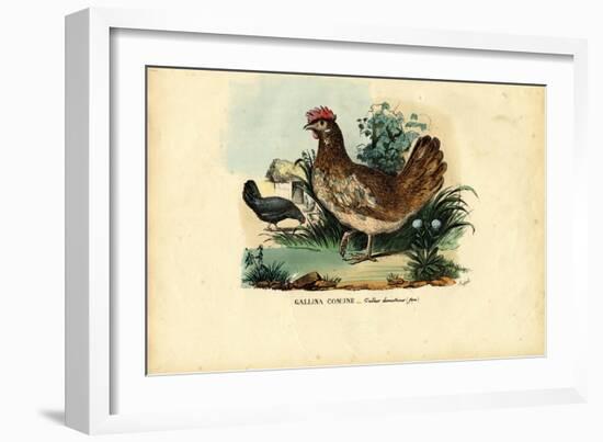 Chicken, 1863-79-Raimundo Petraroja-Framed Giclee Print
